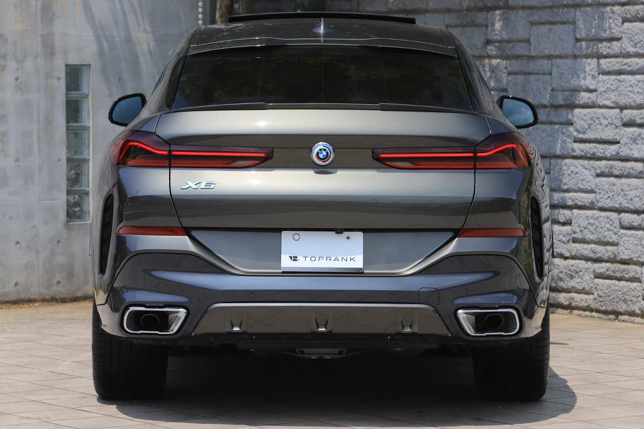 2023 BMW X6 