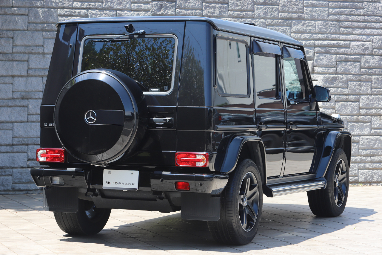 2017 Mercedes-Benz G CLASS 