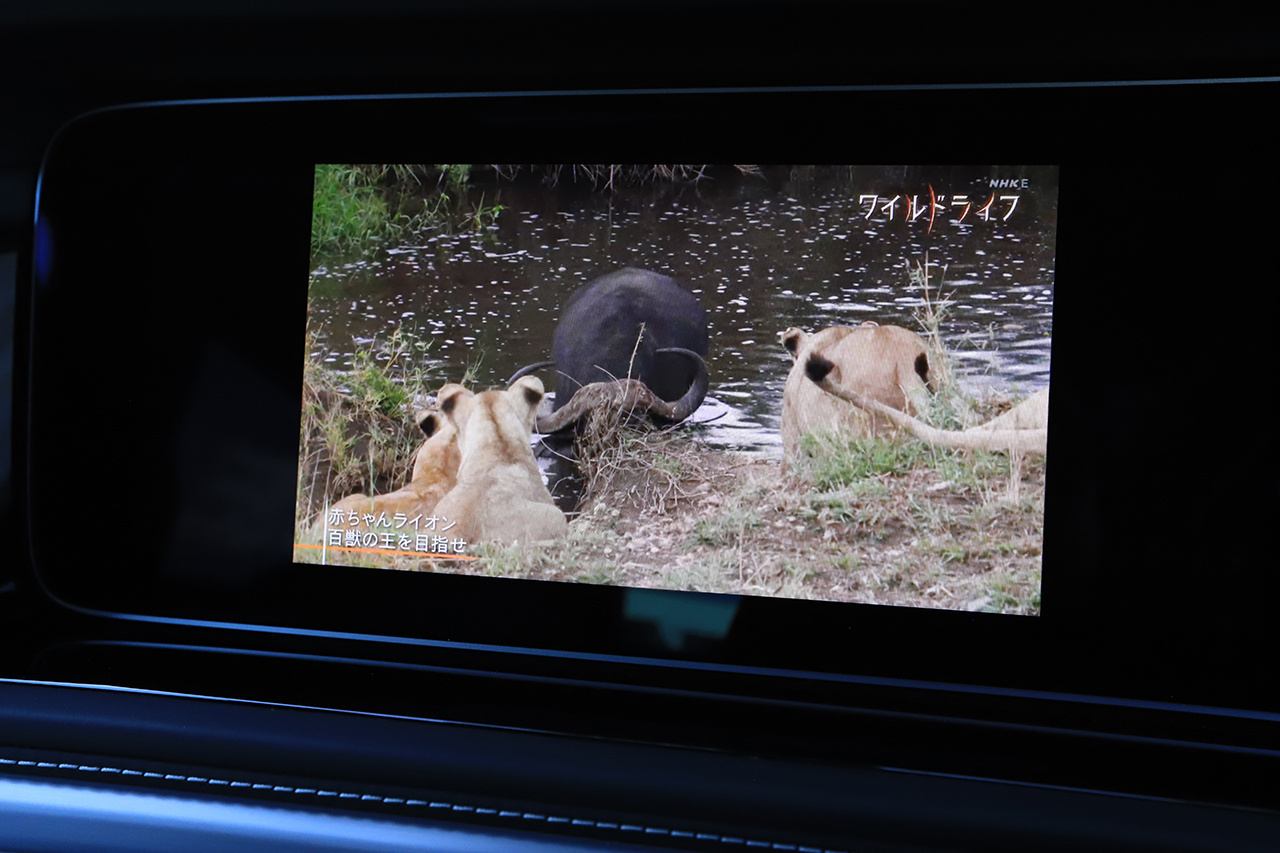2024 Mercedes-Benz G CLASS null