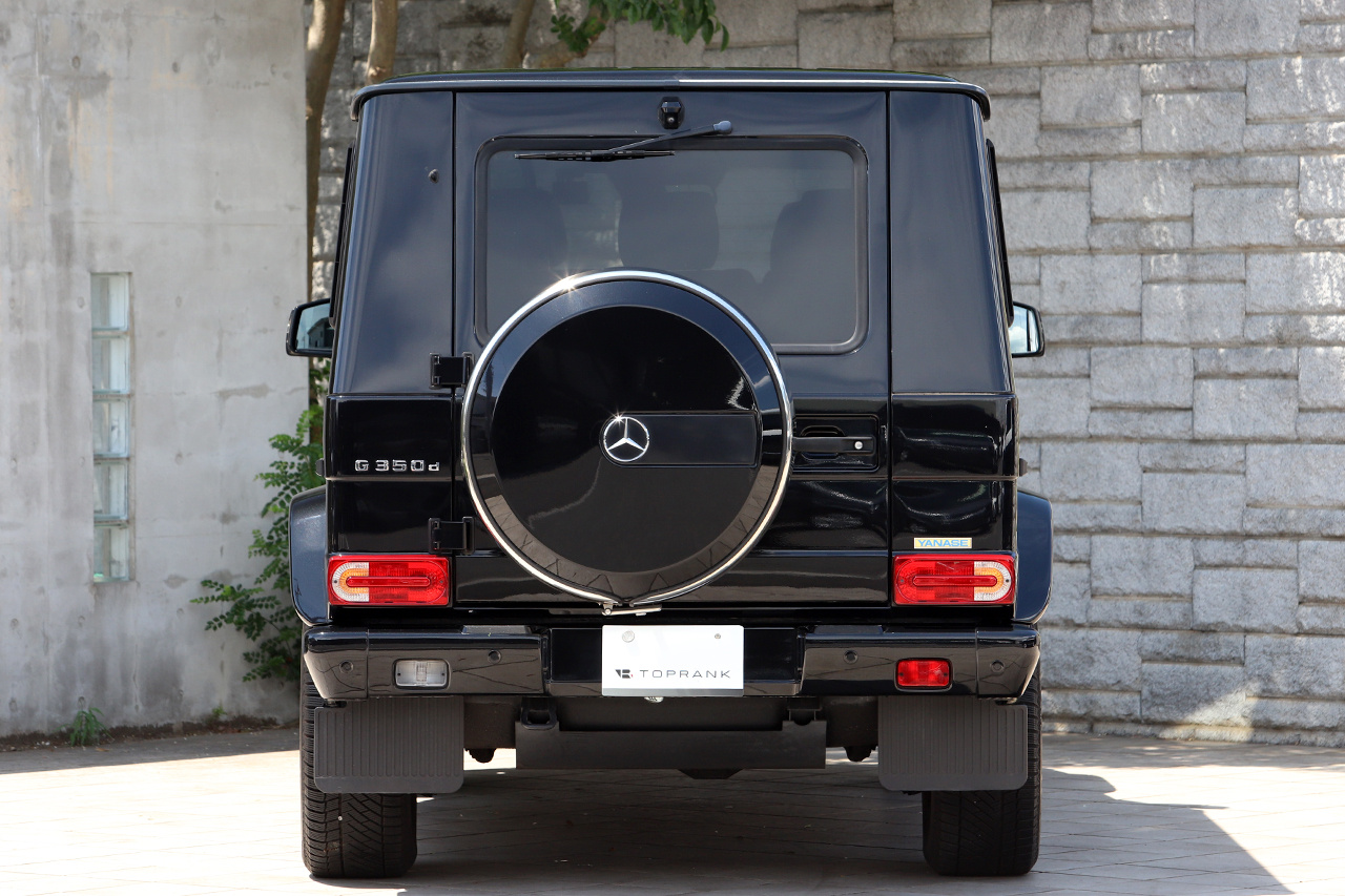 2017 Mercedes-Benz G CLASS null