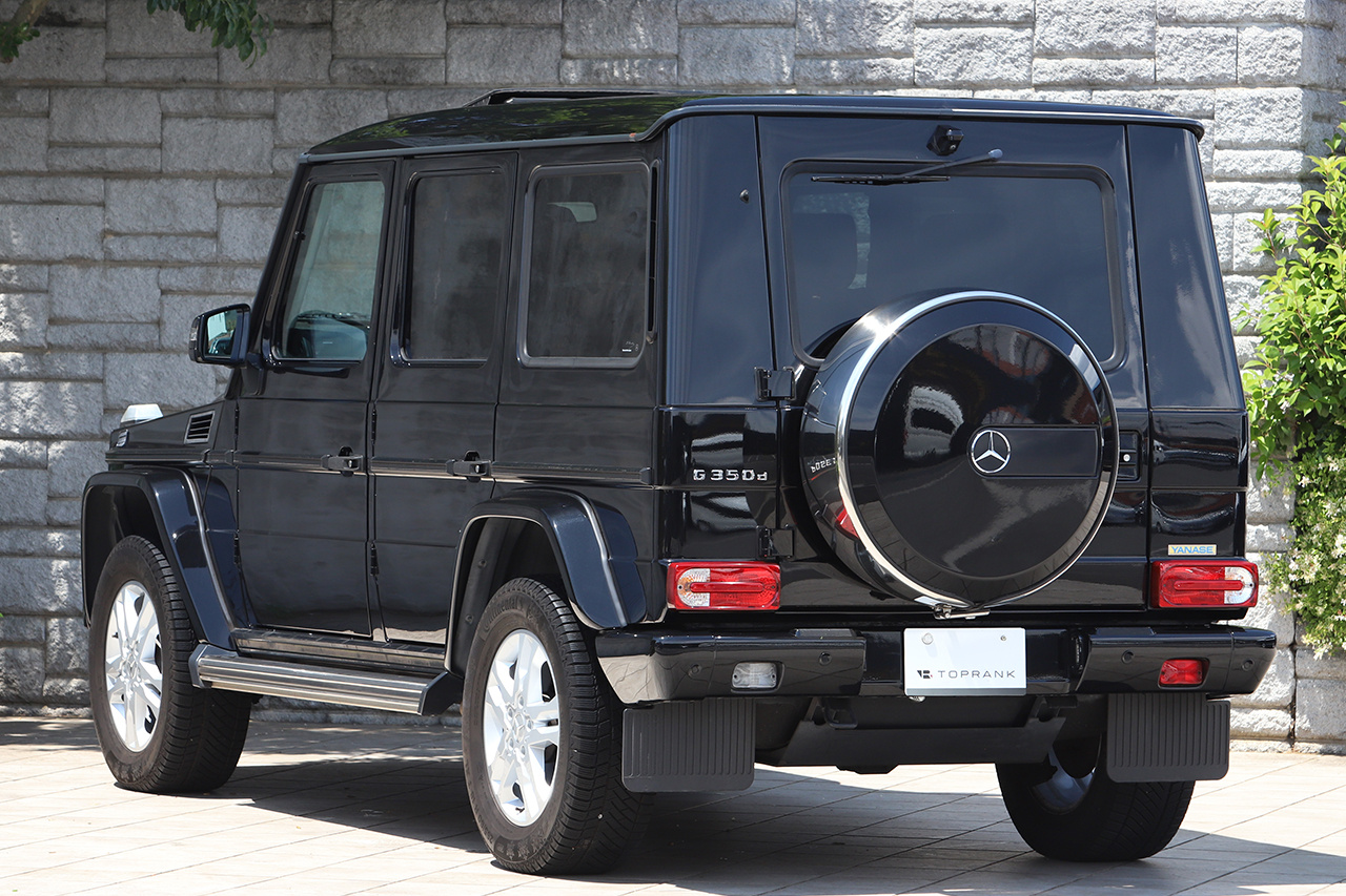 2017 Mercedes-Benz G CLASS null