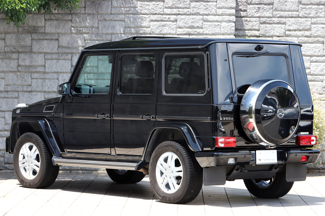 2017 Mercedes-Benz G CLASS null