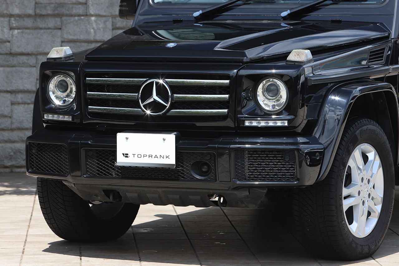 2017 Mercedes-Benz G CLASS null
