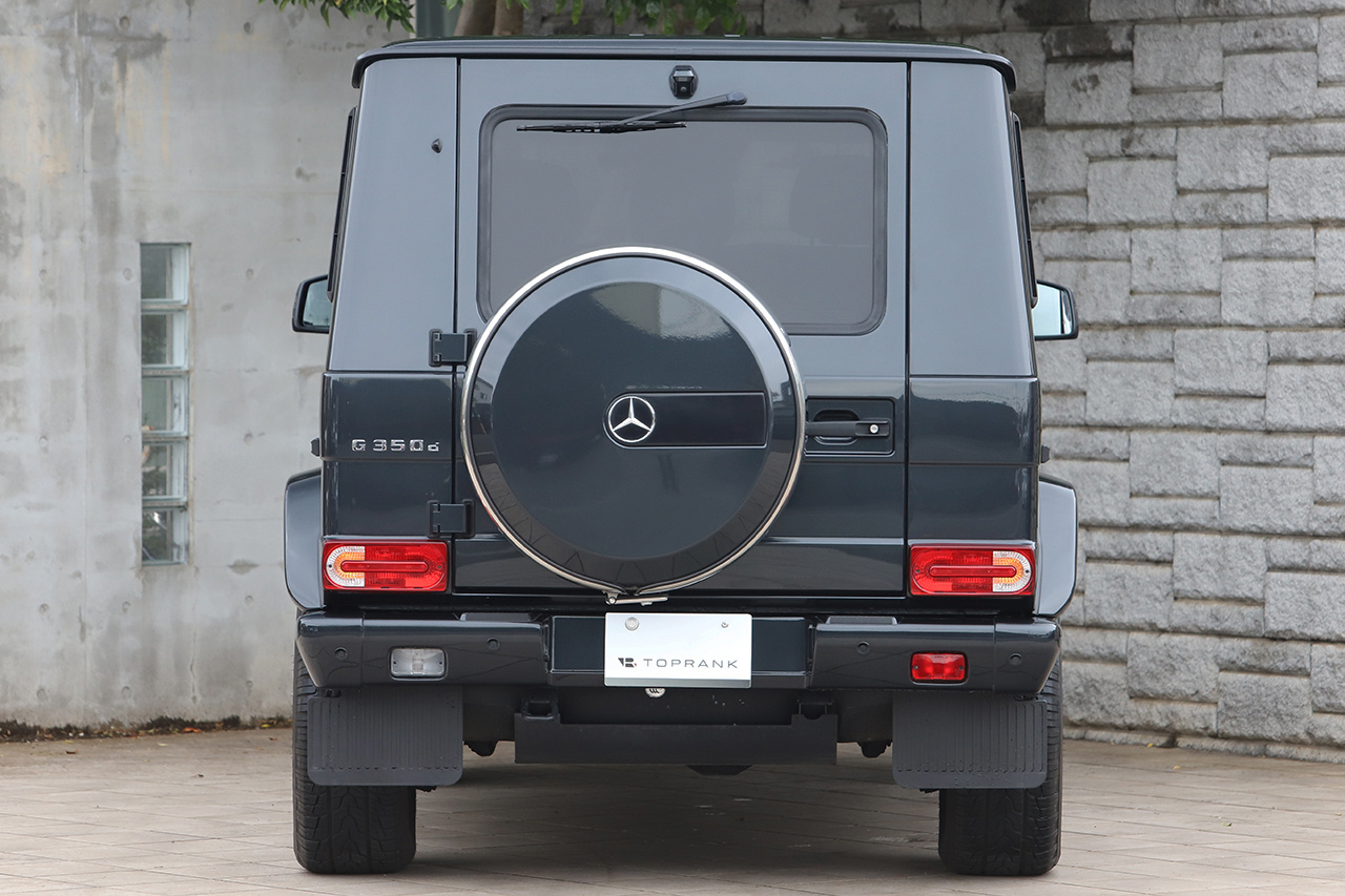 2017 Mercedes-Benz G CLASS null