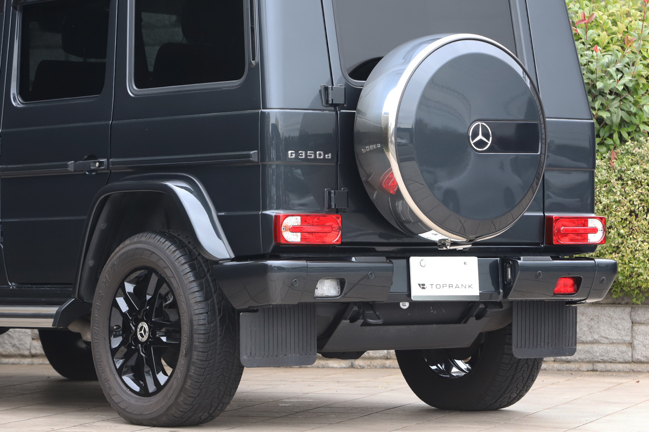 2017 Mercedes-Benz G CLASS null