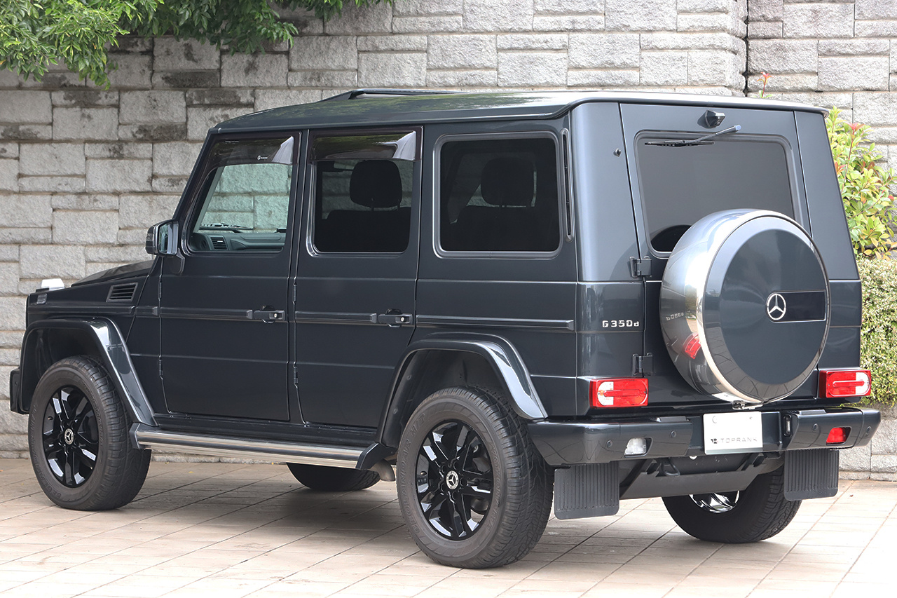 2017 Mercedes-Benz G CLASS null