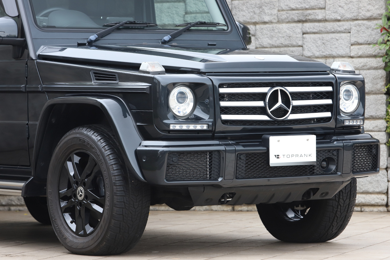 2017 Mercedes-Benz G CLASS null