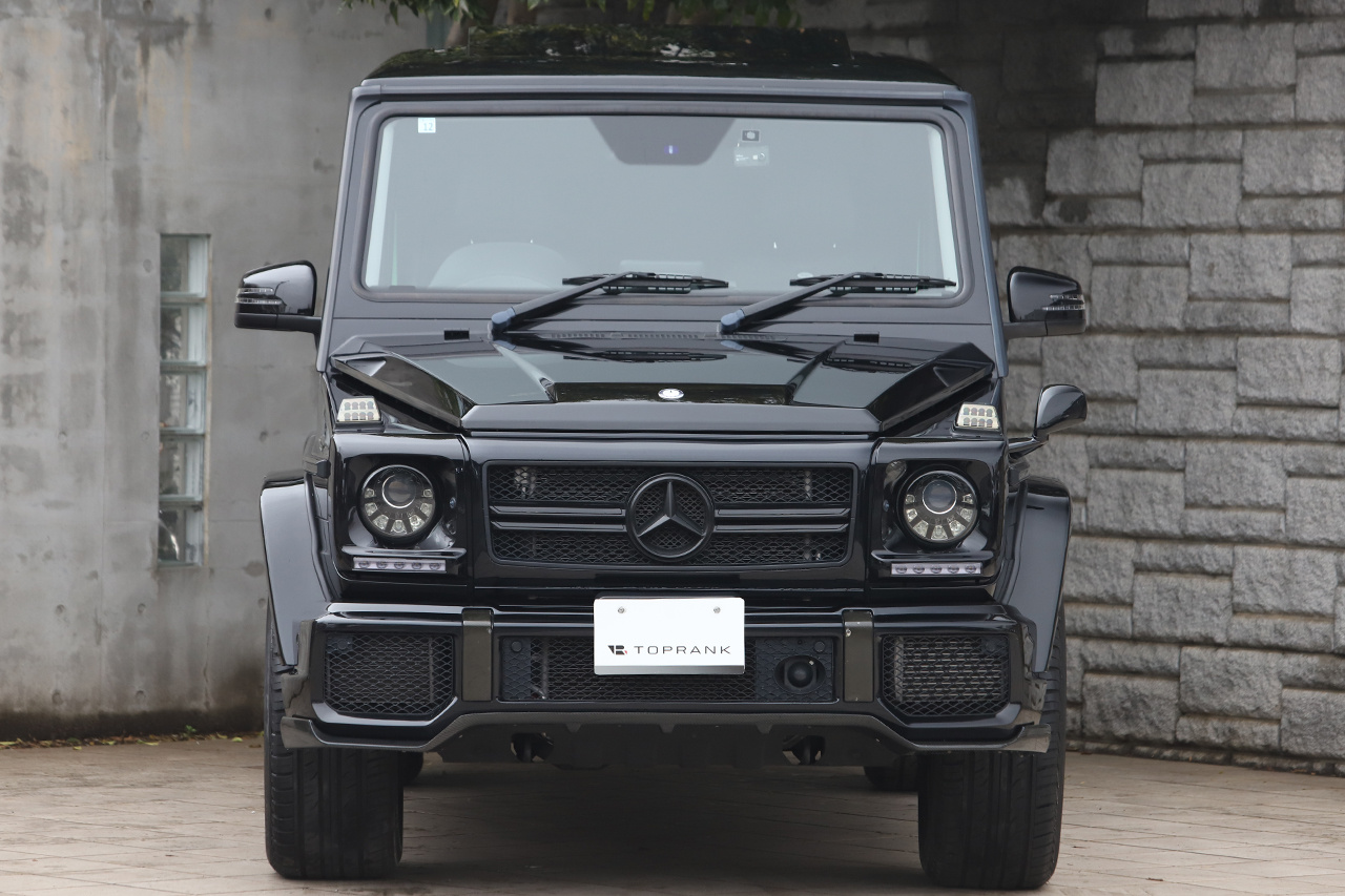 2016 Mercedes-Benz G CLASS null