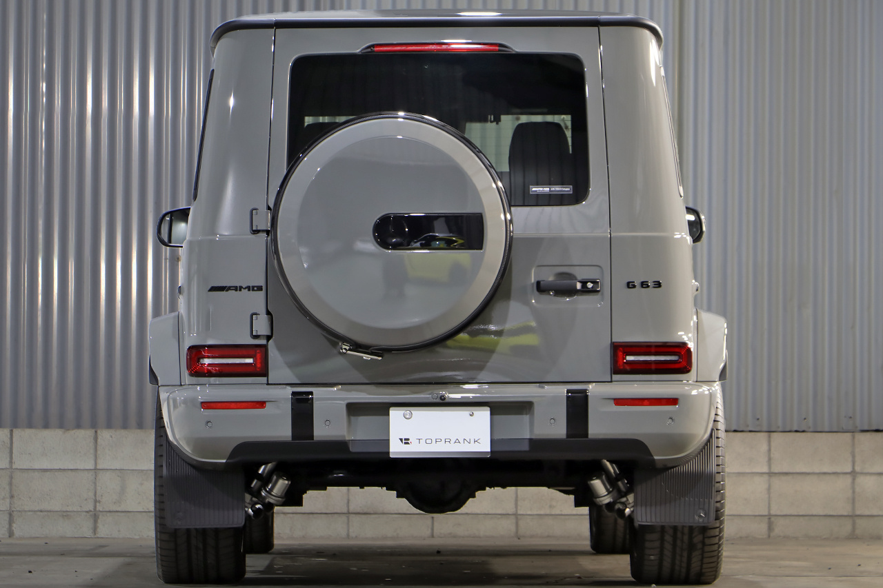 2025 Mercedes-AMG G CLASS null