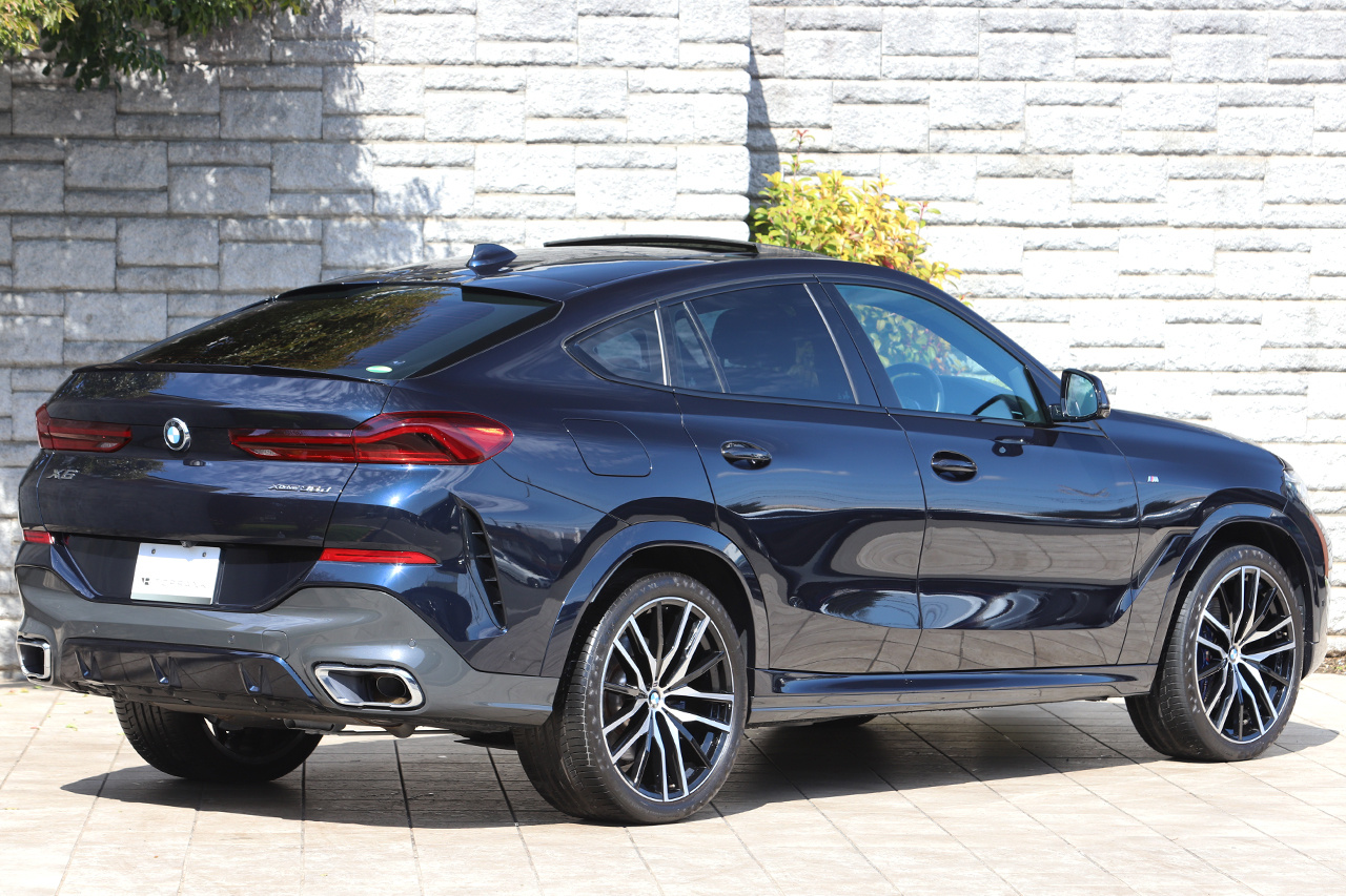 2021 BMW X6 