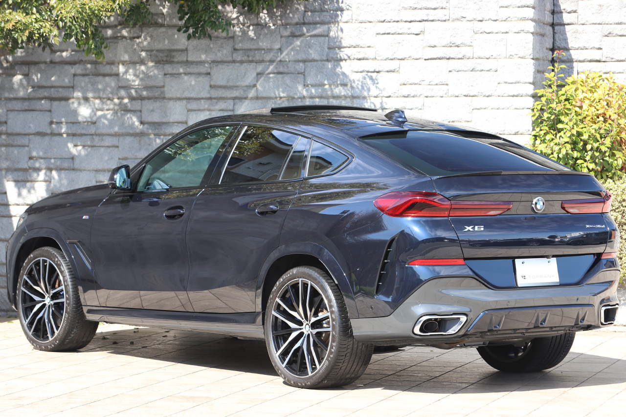 2021 BMW X6 