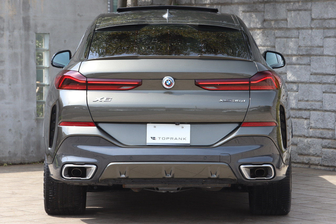 2023 BMW X6 