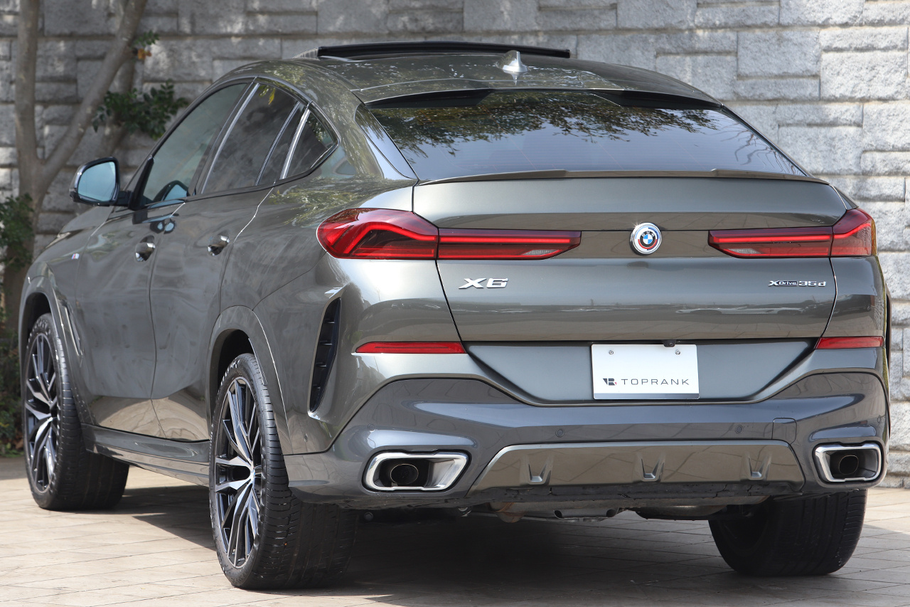 2023 BMW X6 