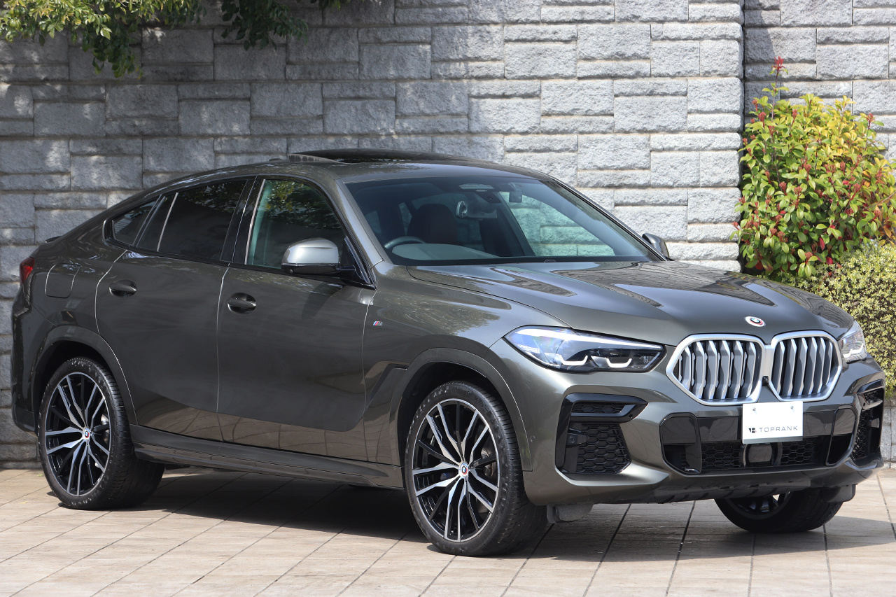 2023 BMW X6 