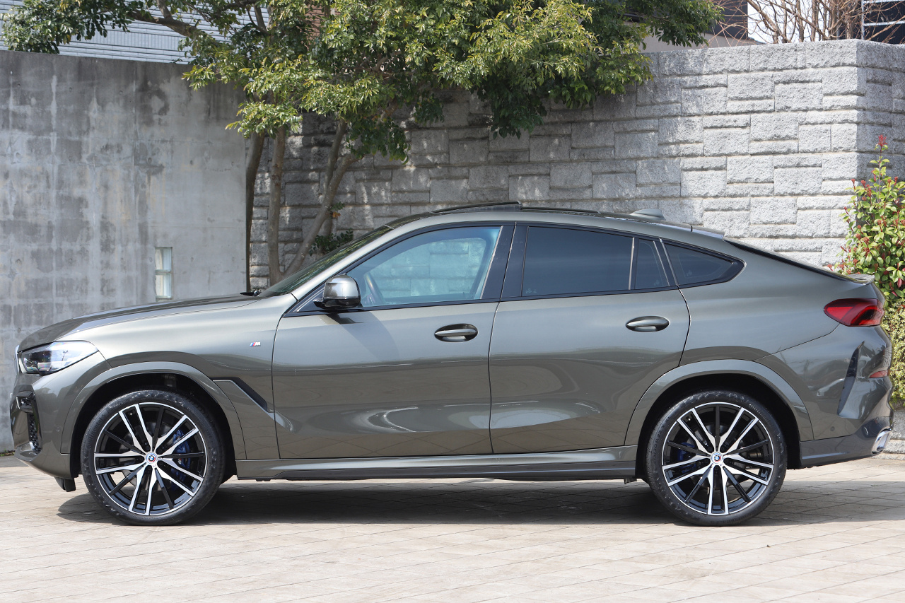 2023 BMW X6 