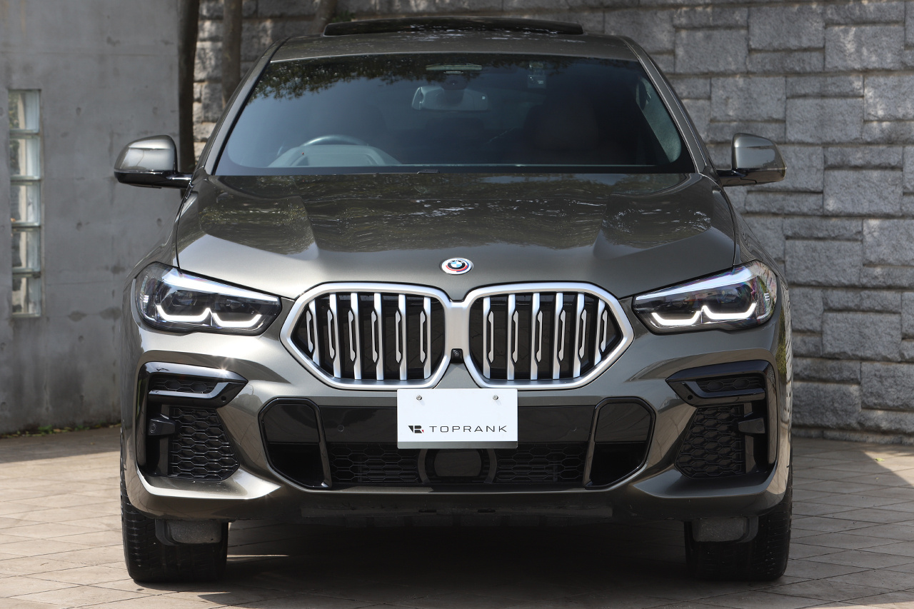 2023 BMW X6 
