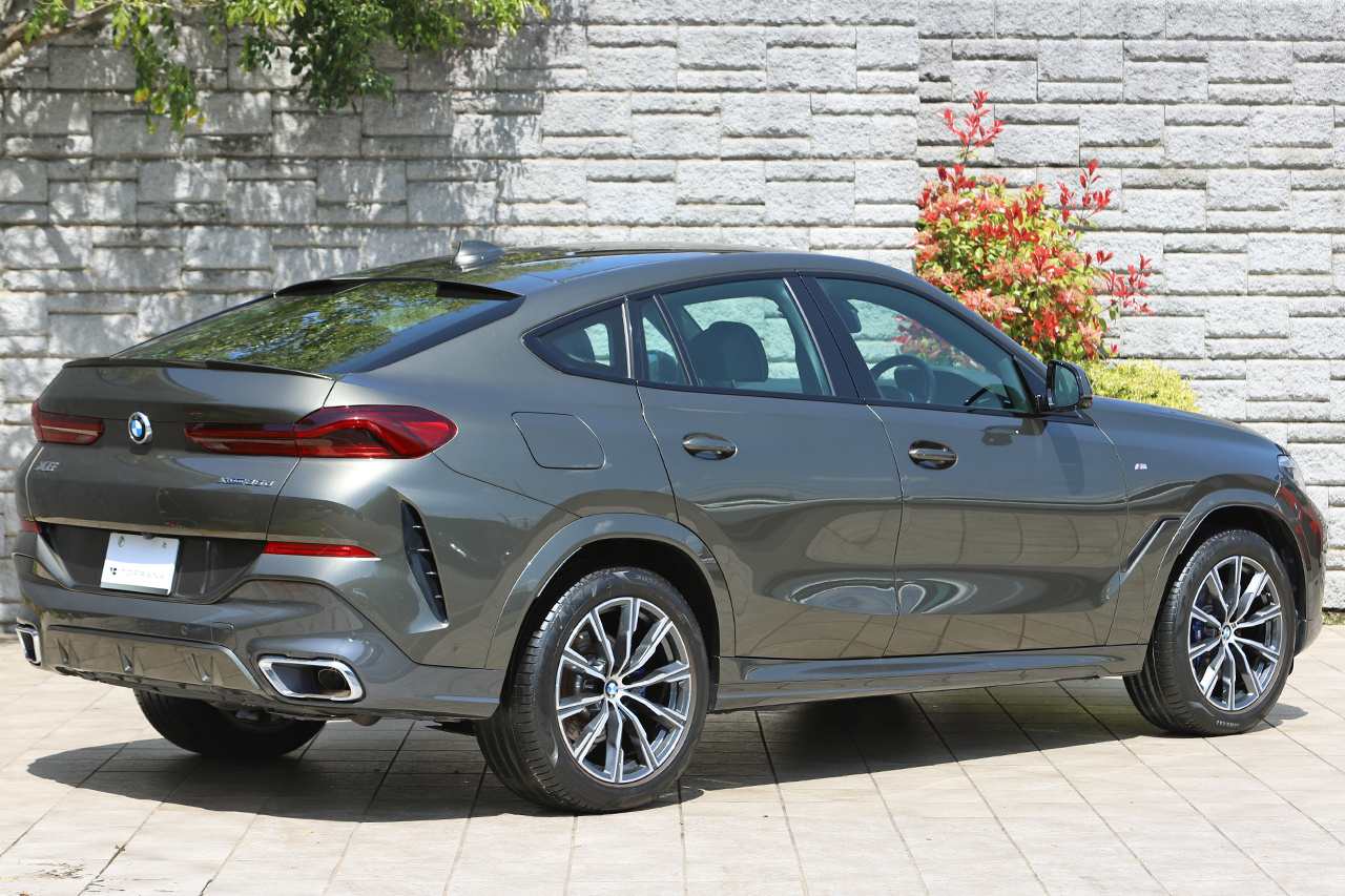 2021 BMW X6 null