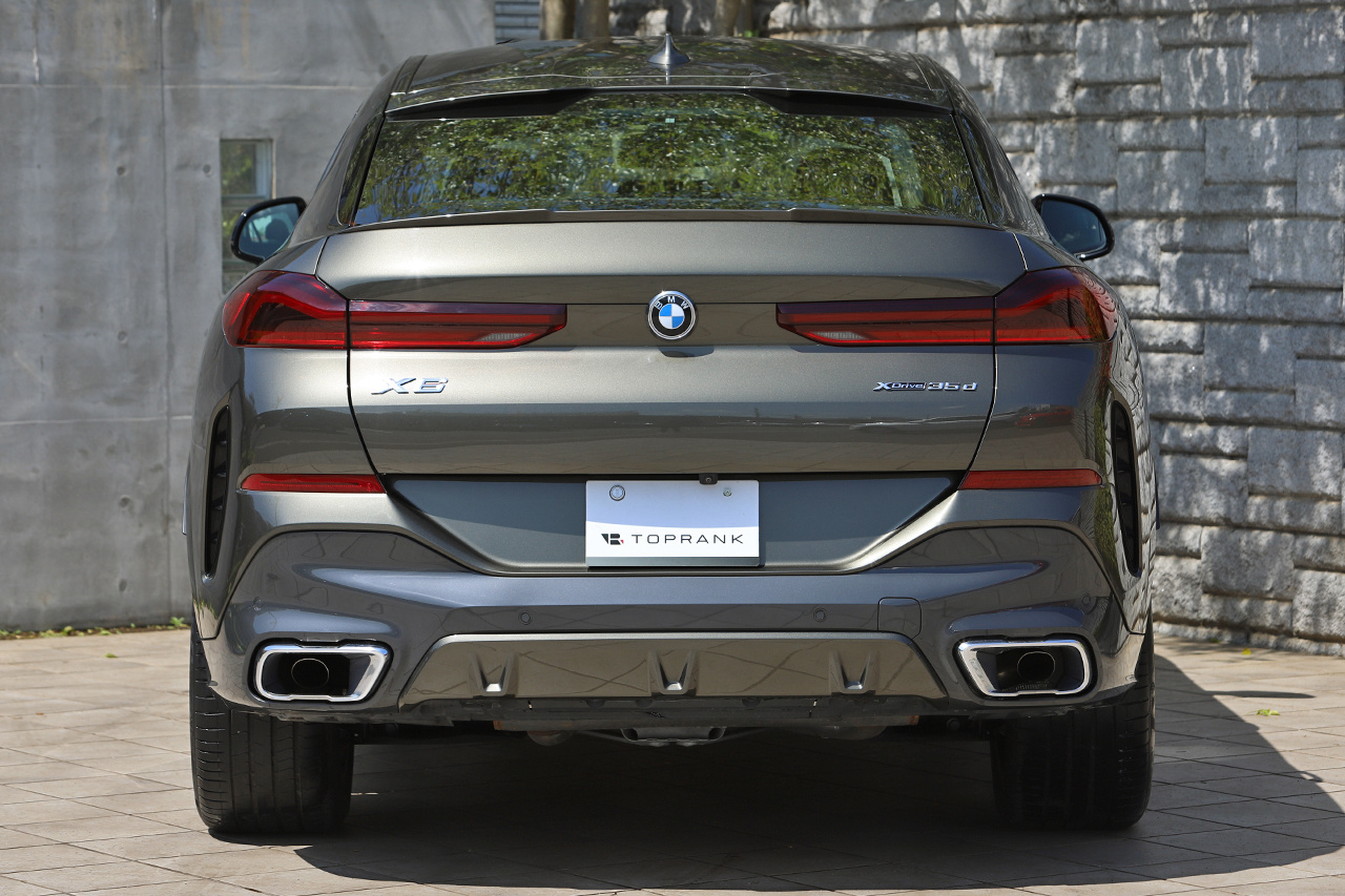 2021 BMW X6 null