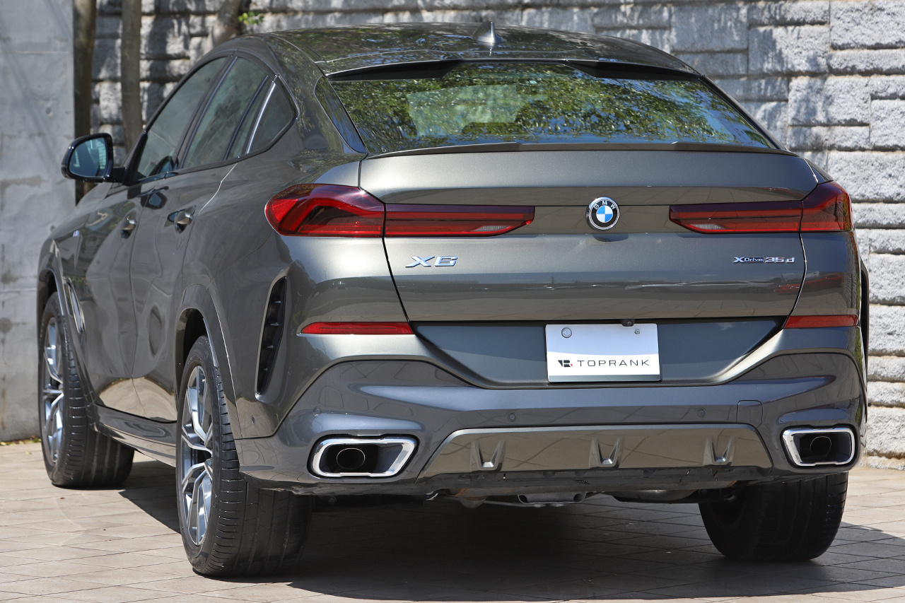 2021 BMW X6 null