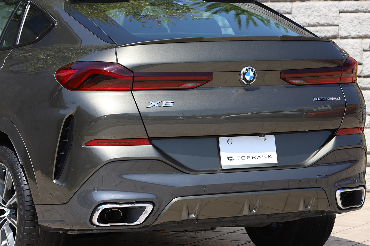 2021 BMW X6 null