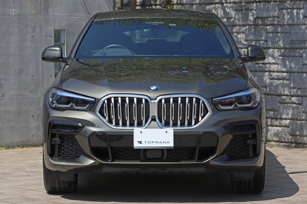 2021 BMW X6 null