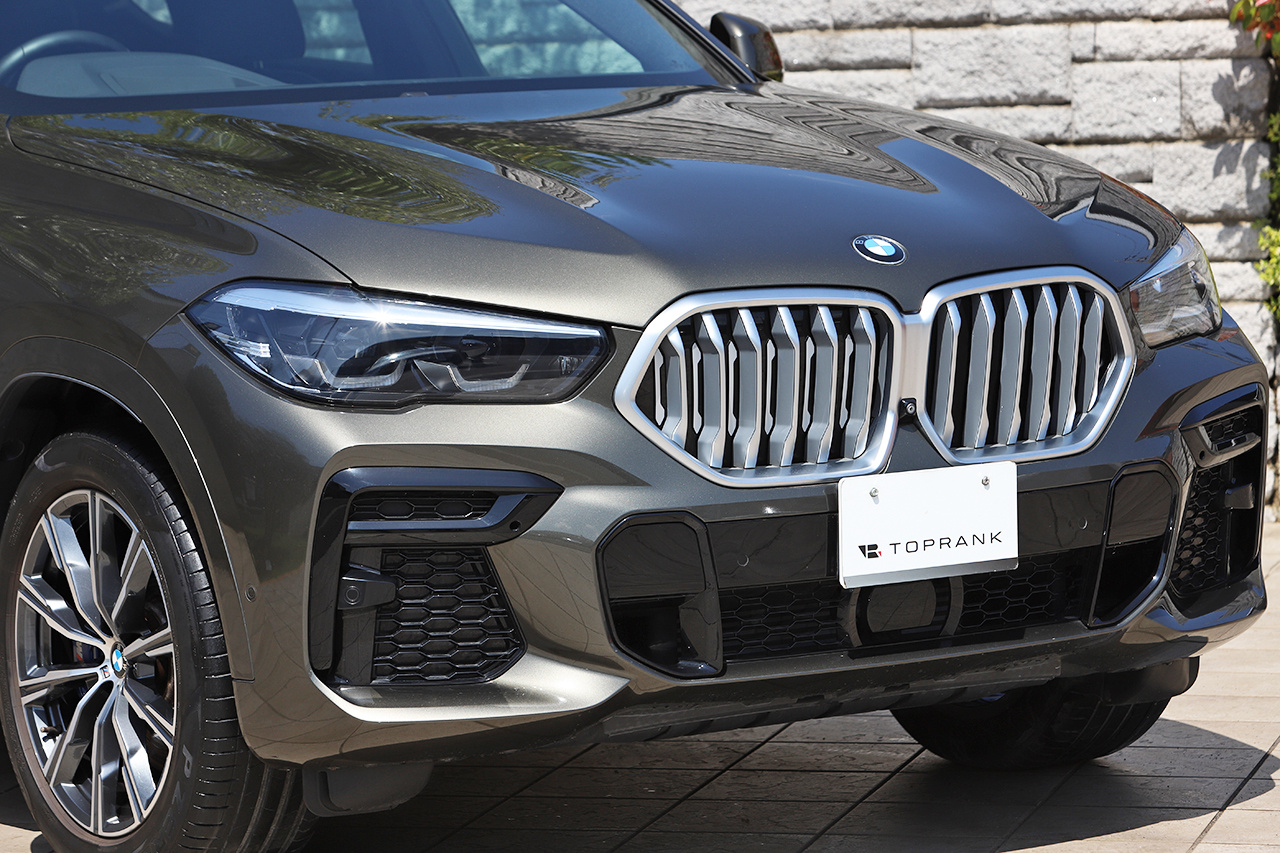 2021 BMW X6 null