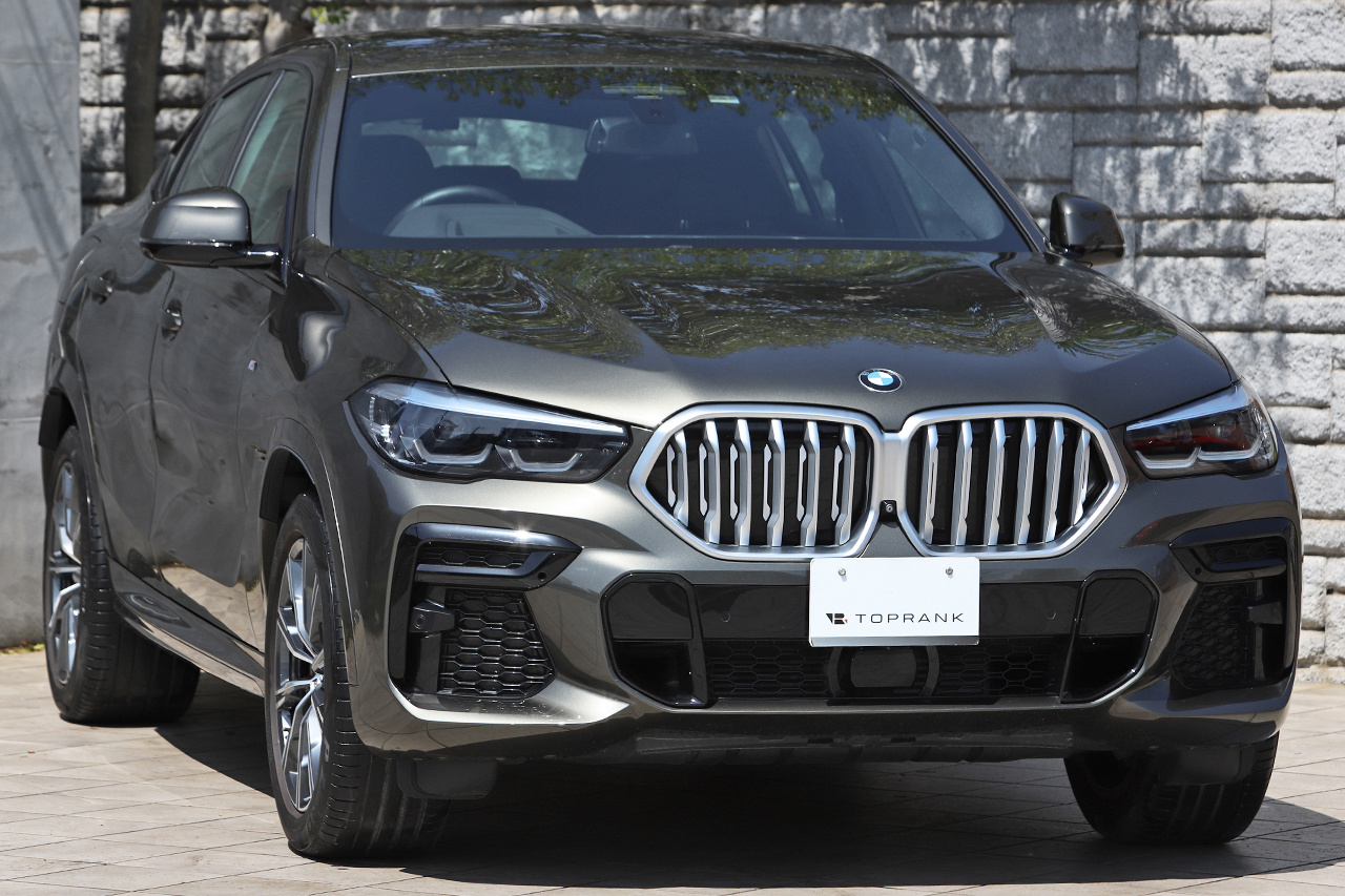 2021 BMW X6 null