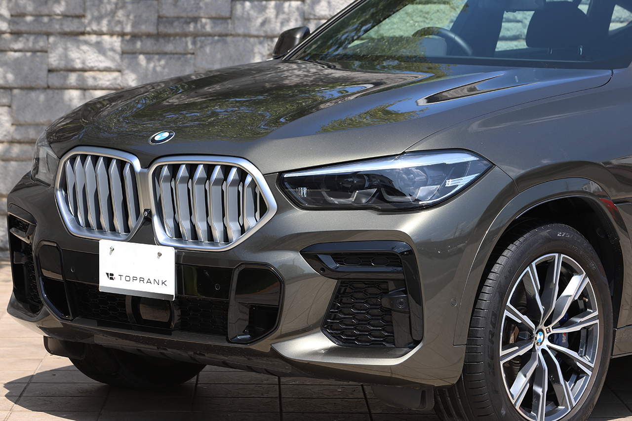 2021 BMW X6 null