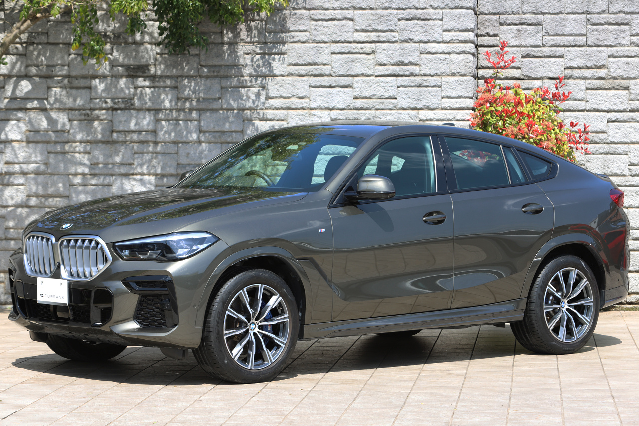 2021 BMW X6 null