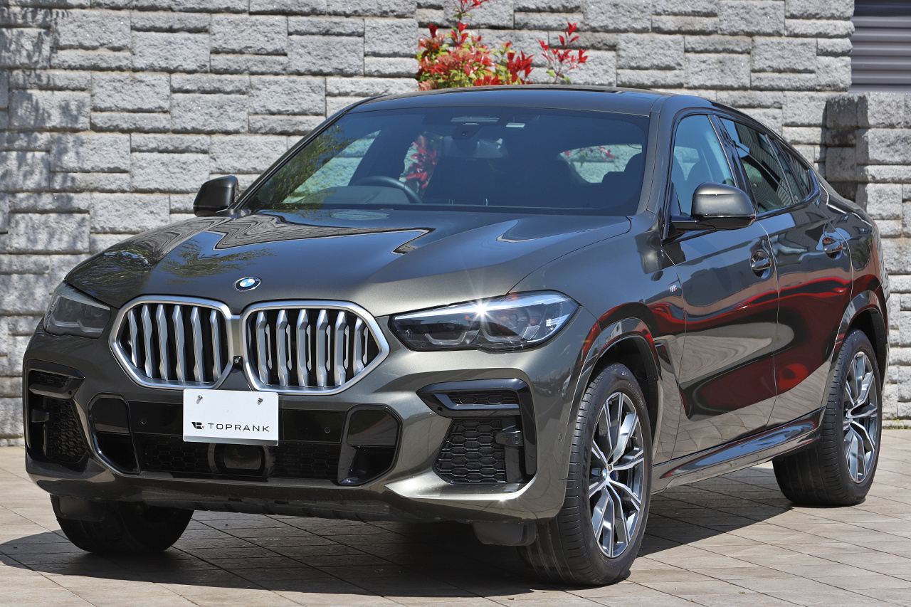 2021 BMW X6 null