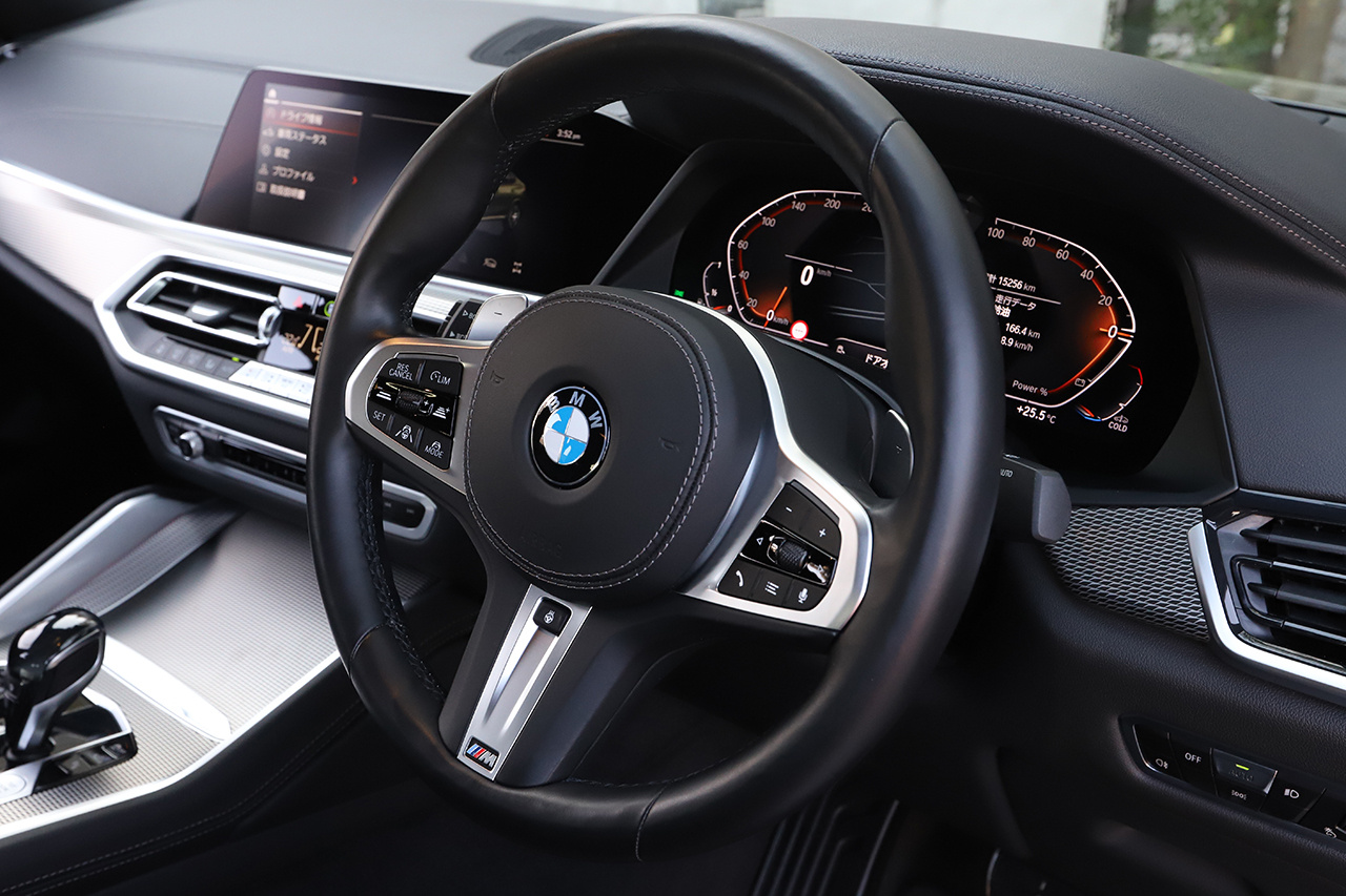2021 BMW X6 null