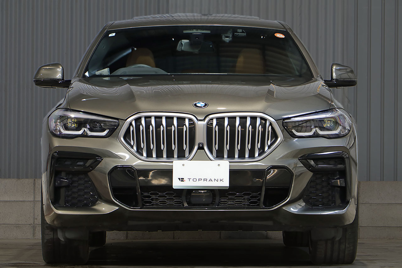 2022 BMW X6 