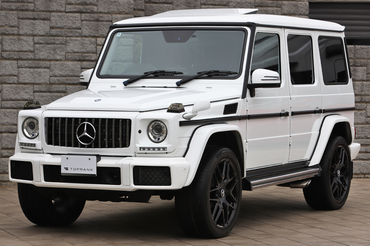 2018 Mercedes-Benz G CLASS 