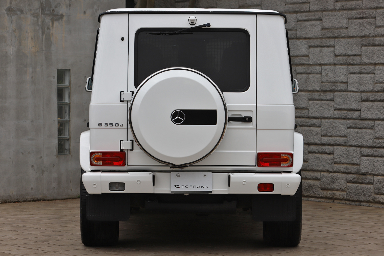 2018 Mercedes-Benz G CLASS 
