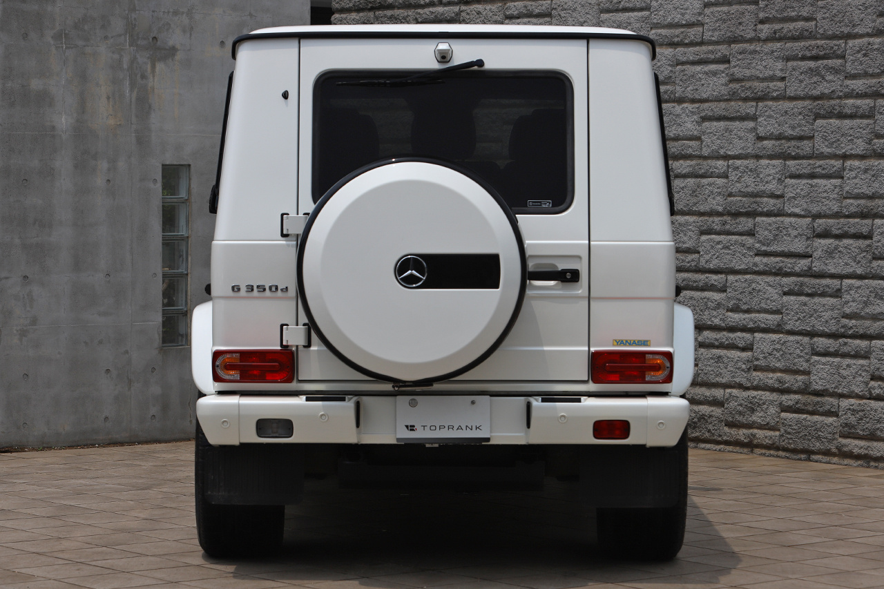 2017 Mercedes-Benz G CLASS 