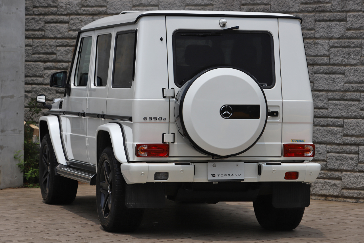 2017 Mercedes-Benz G CLASS 