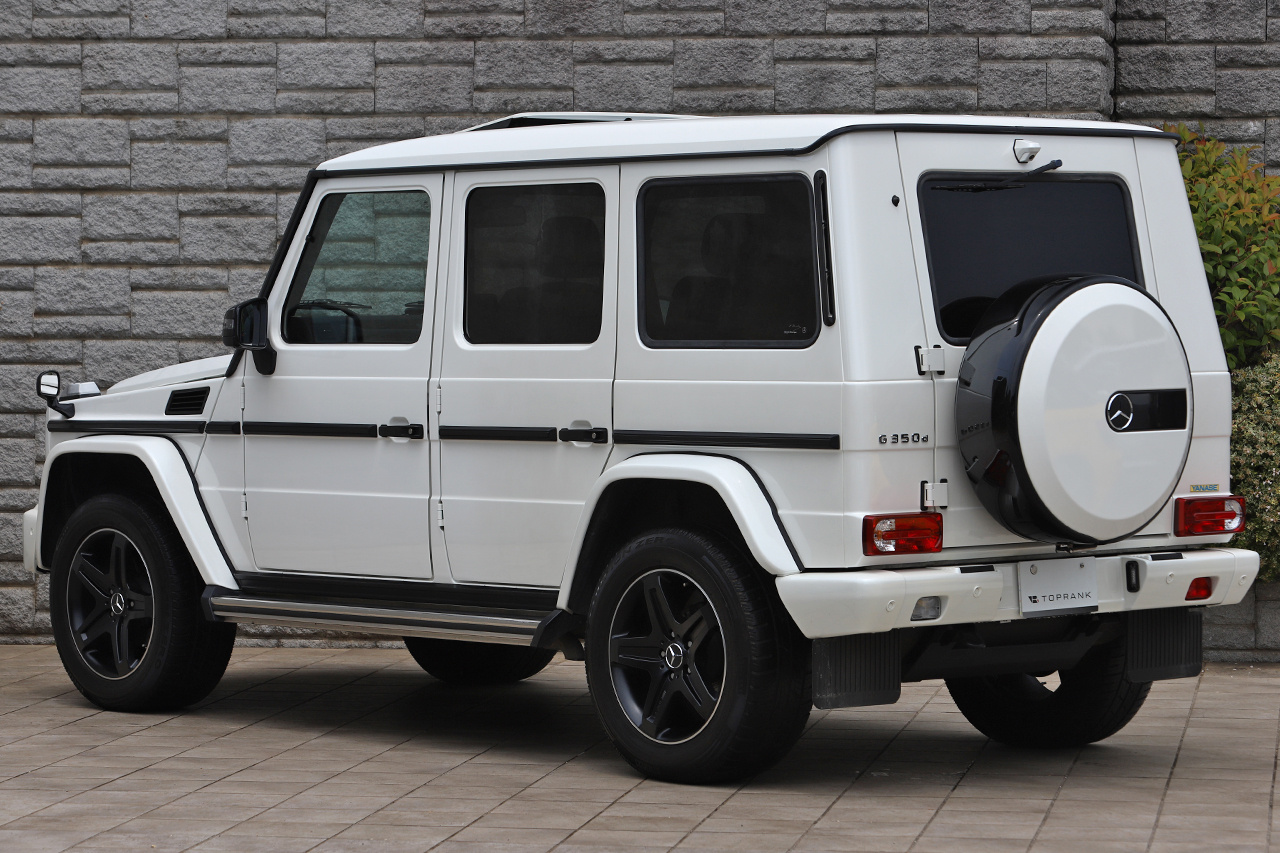 2017 Mercedes-Benz G CLASS 