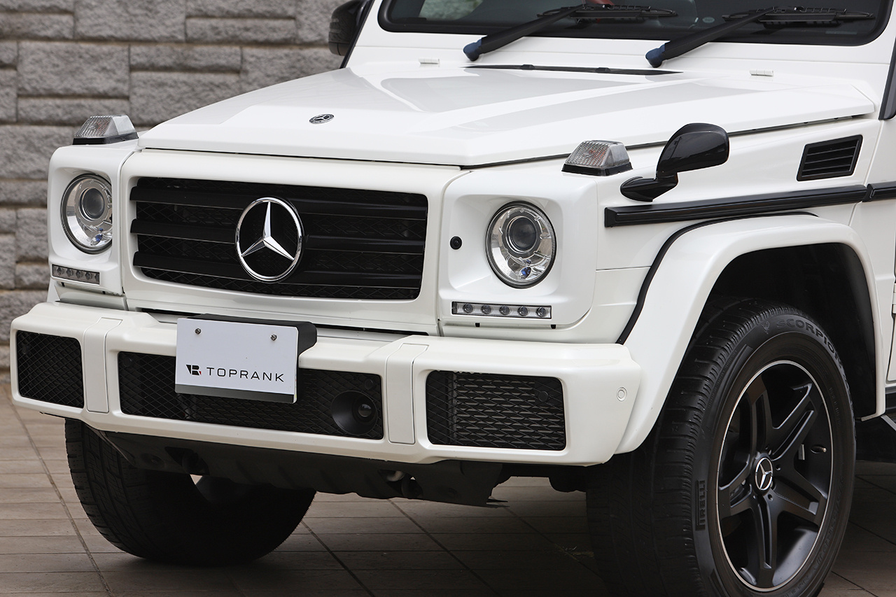 2017 Mercedes-Benz G CLASS 