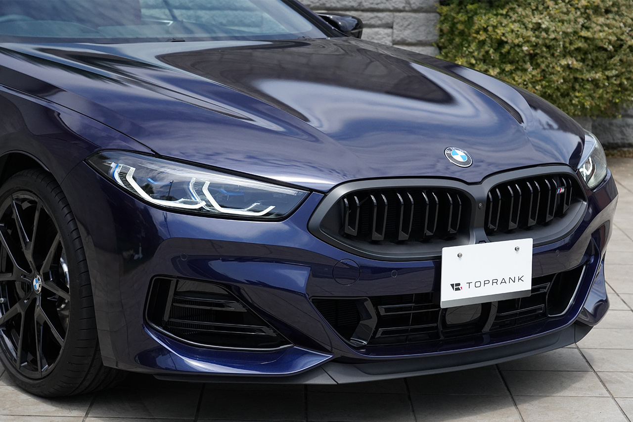2025 BMW 8 SERIES null