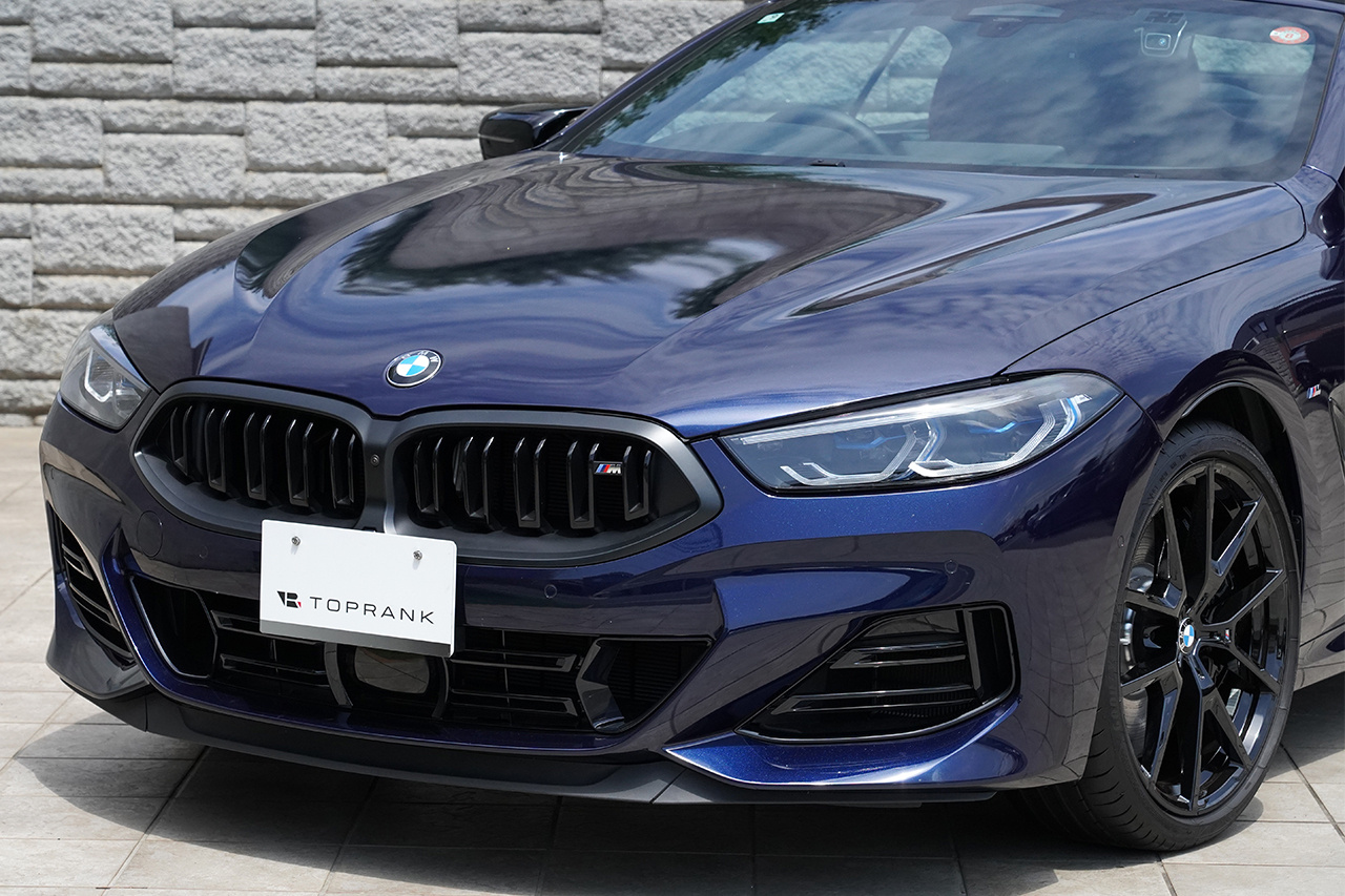 2025 BMW 8 SERIES null