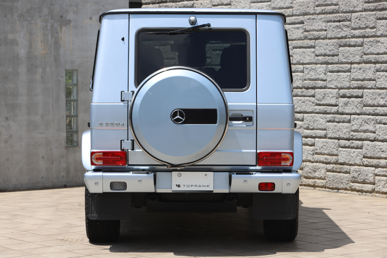 2017 Mercedes-Benz G CLASS 