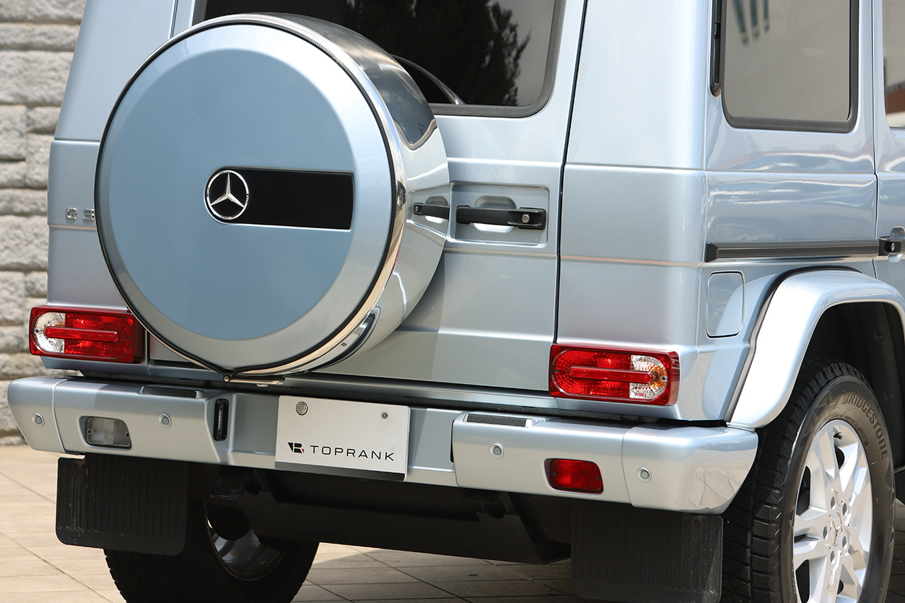 2017 Mercedes-Benz G CLASS 
