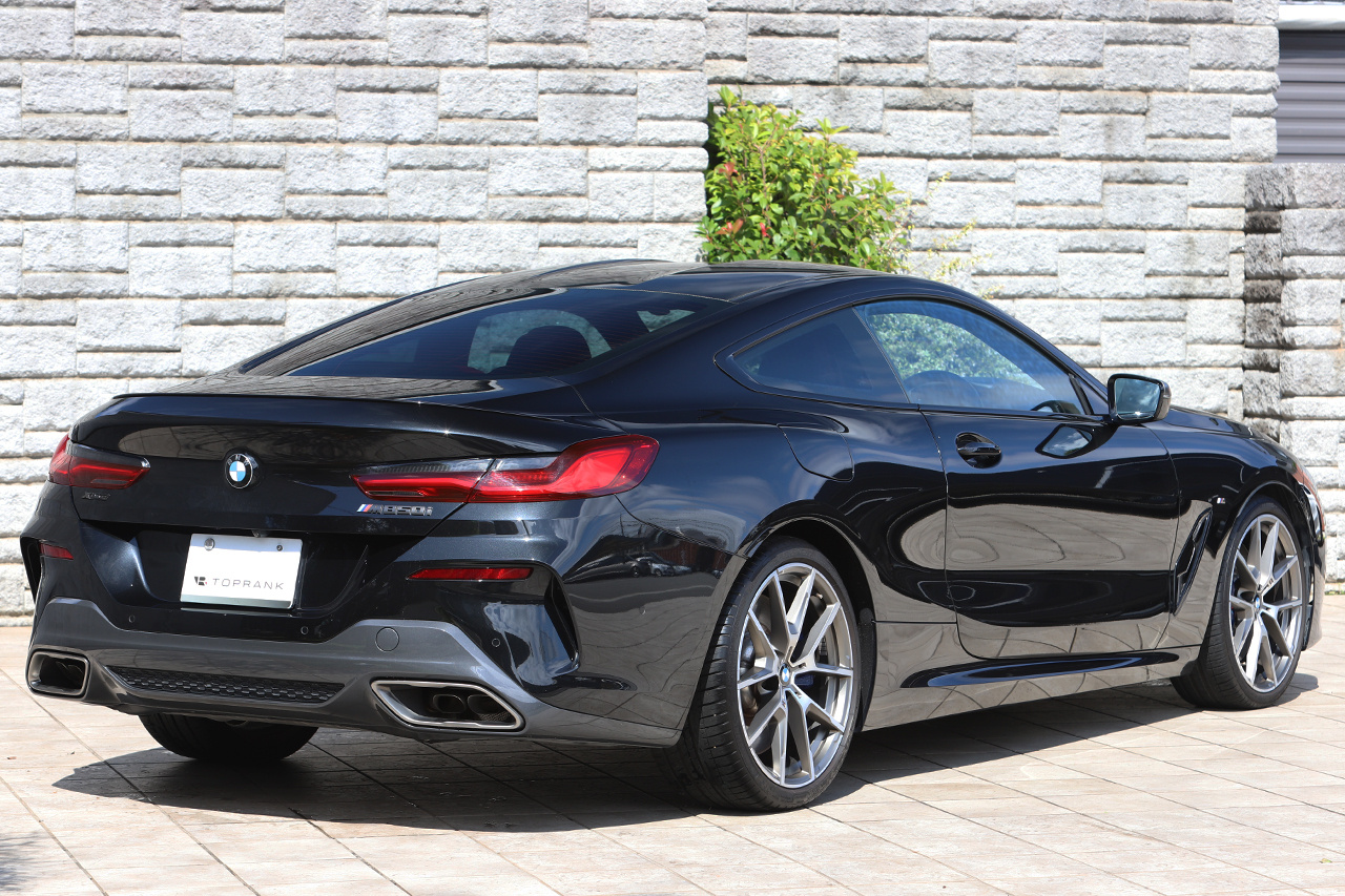 2019 BMW 8 SERIES null