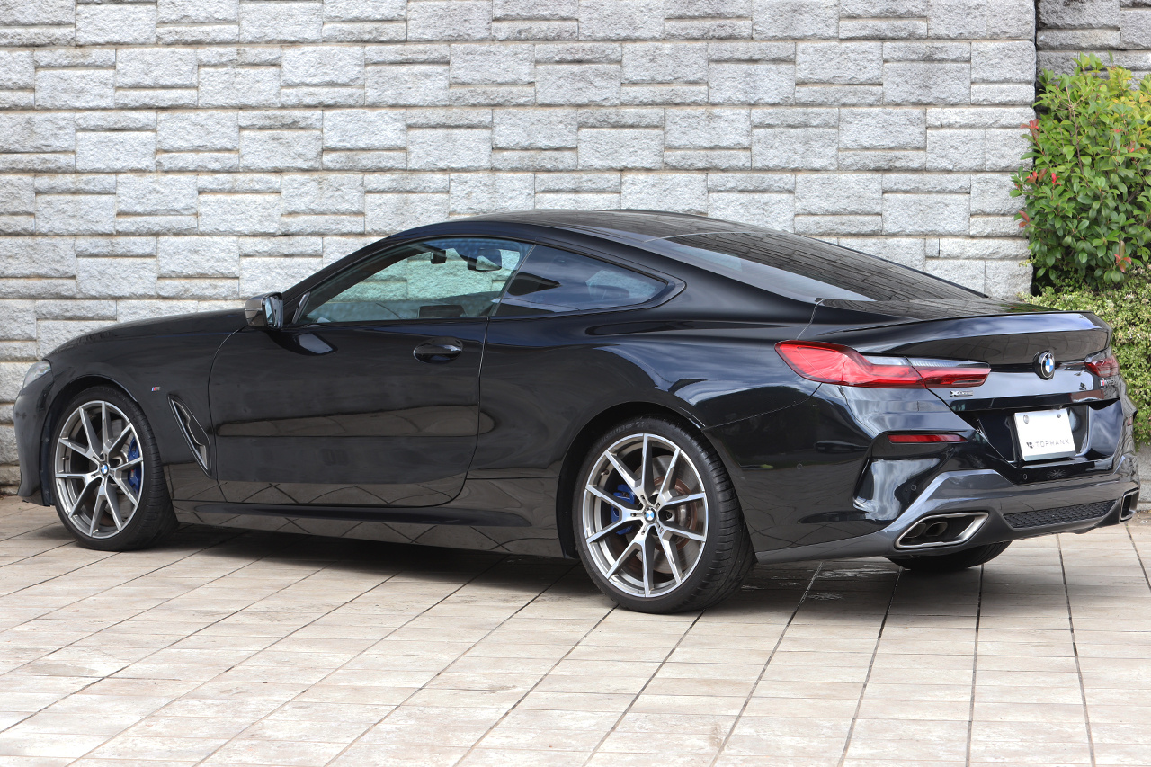 2019 BMW 8 SERIES null