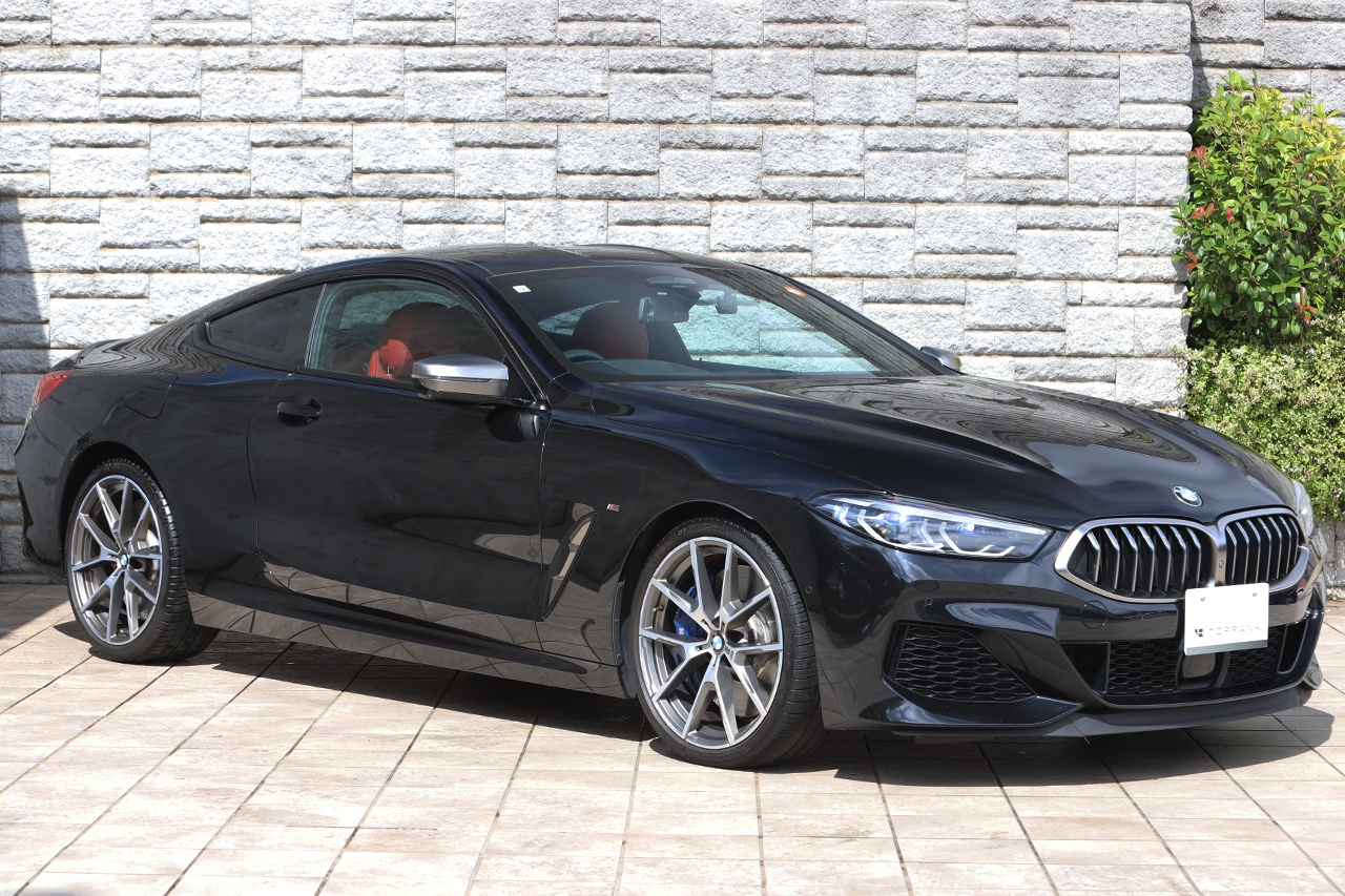 2019 BMW 8 SERIES null