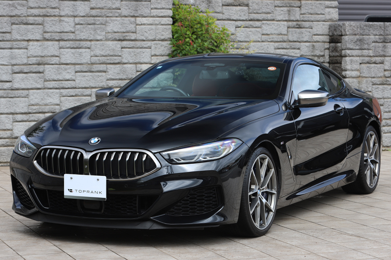 2019 BMW 8 SERIES null