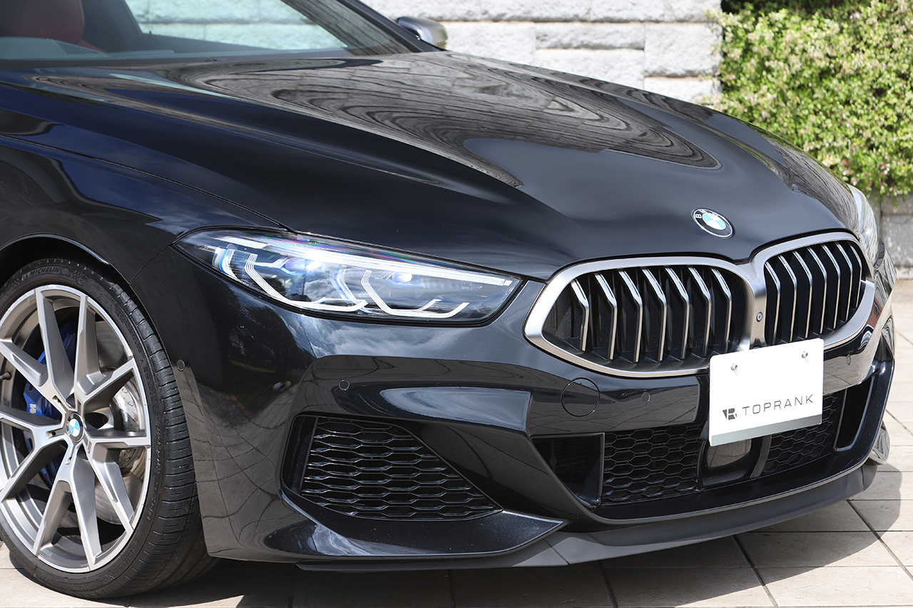 2019 BMW 8 SERIES null
