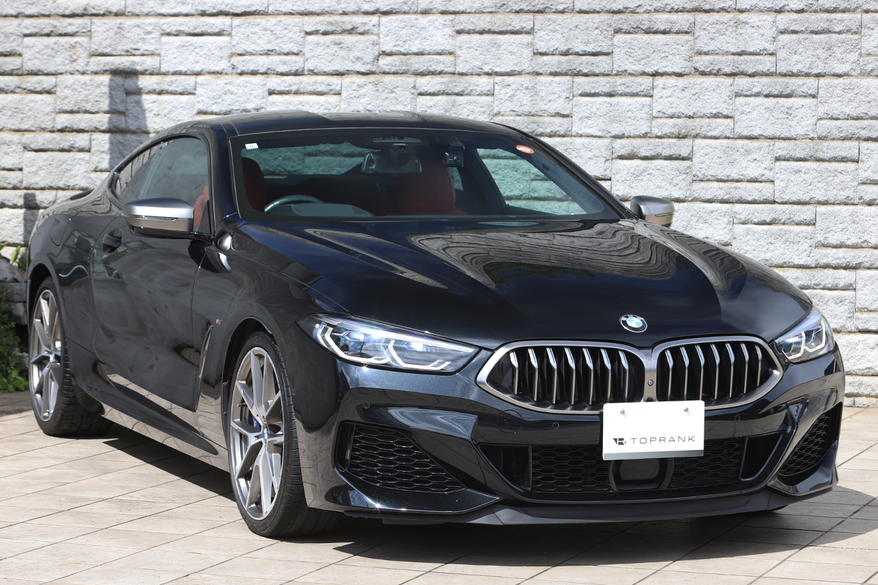2019 BMW 8 SERIES null