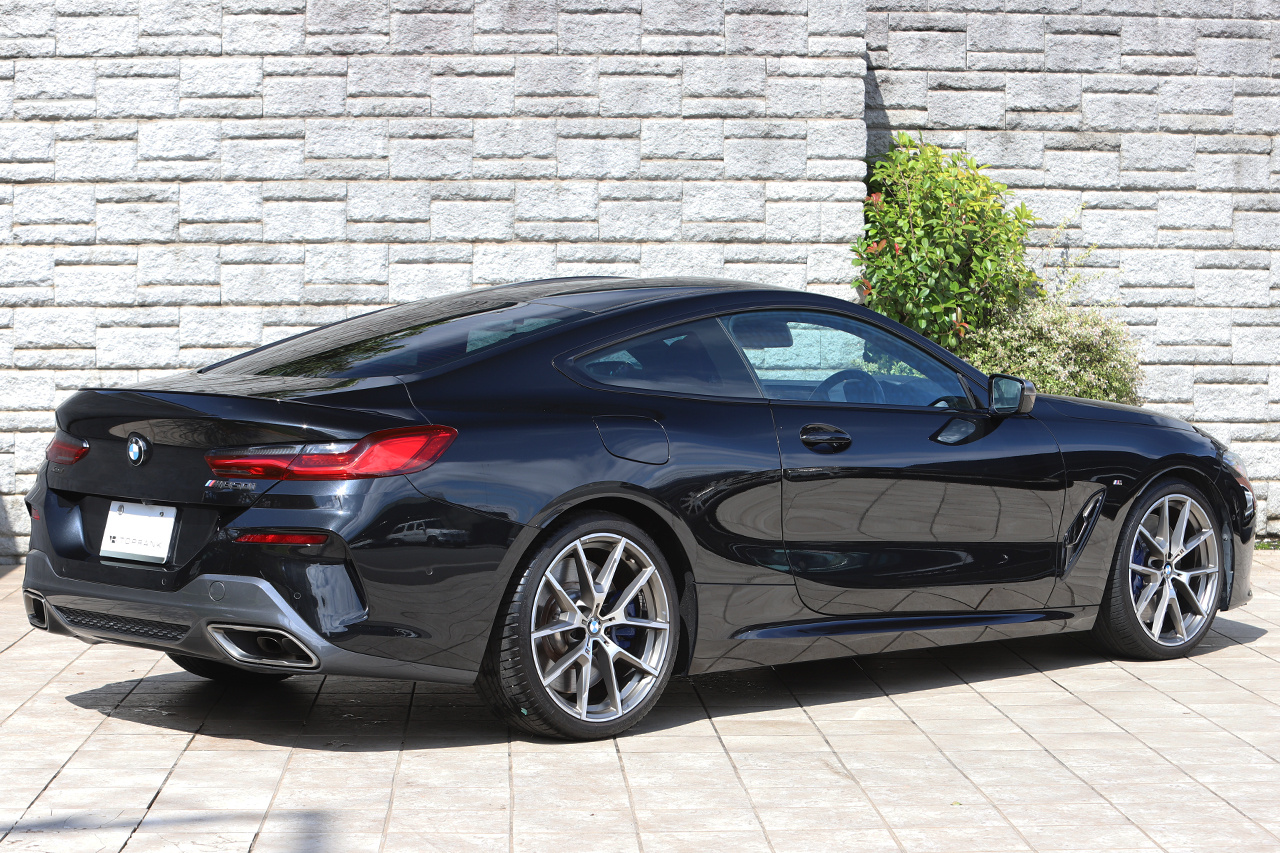2019 BMW 8 SERIES null