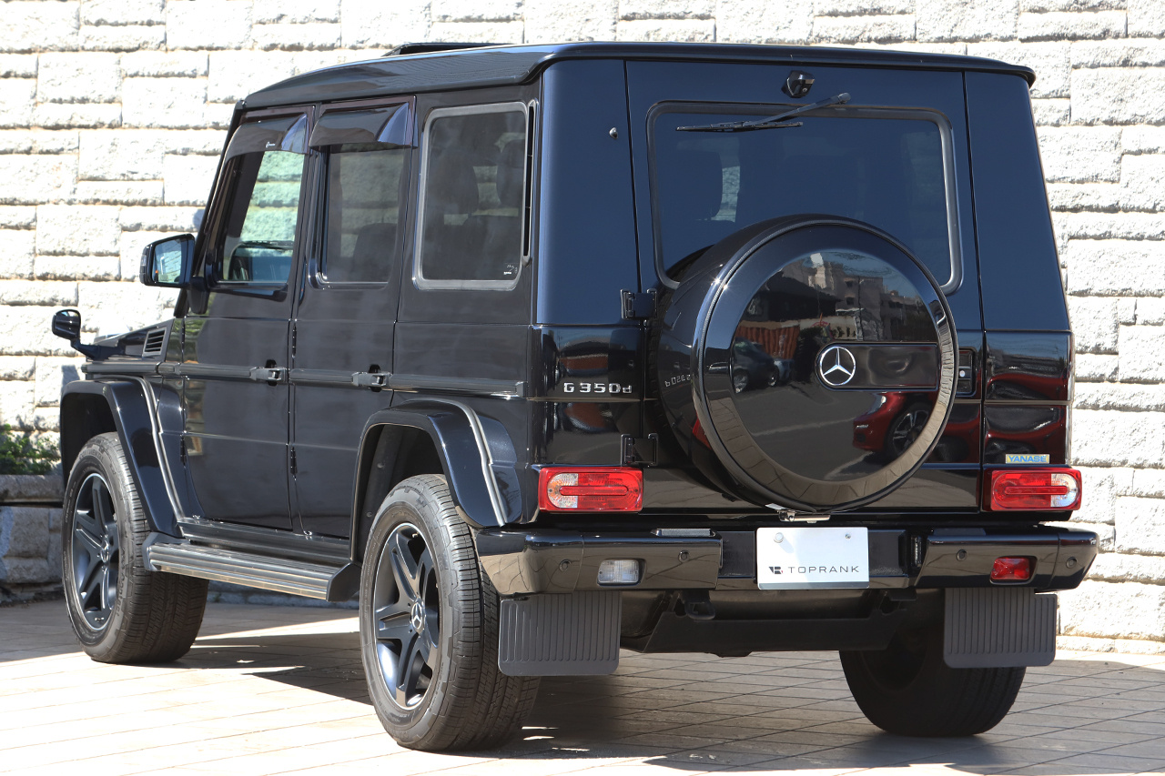 2017 Mercedes-Benz G CLASS null